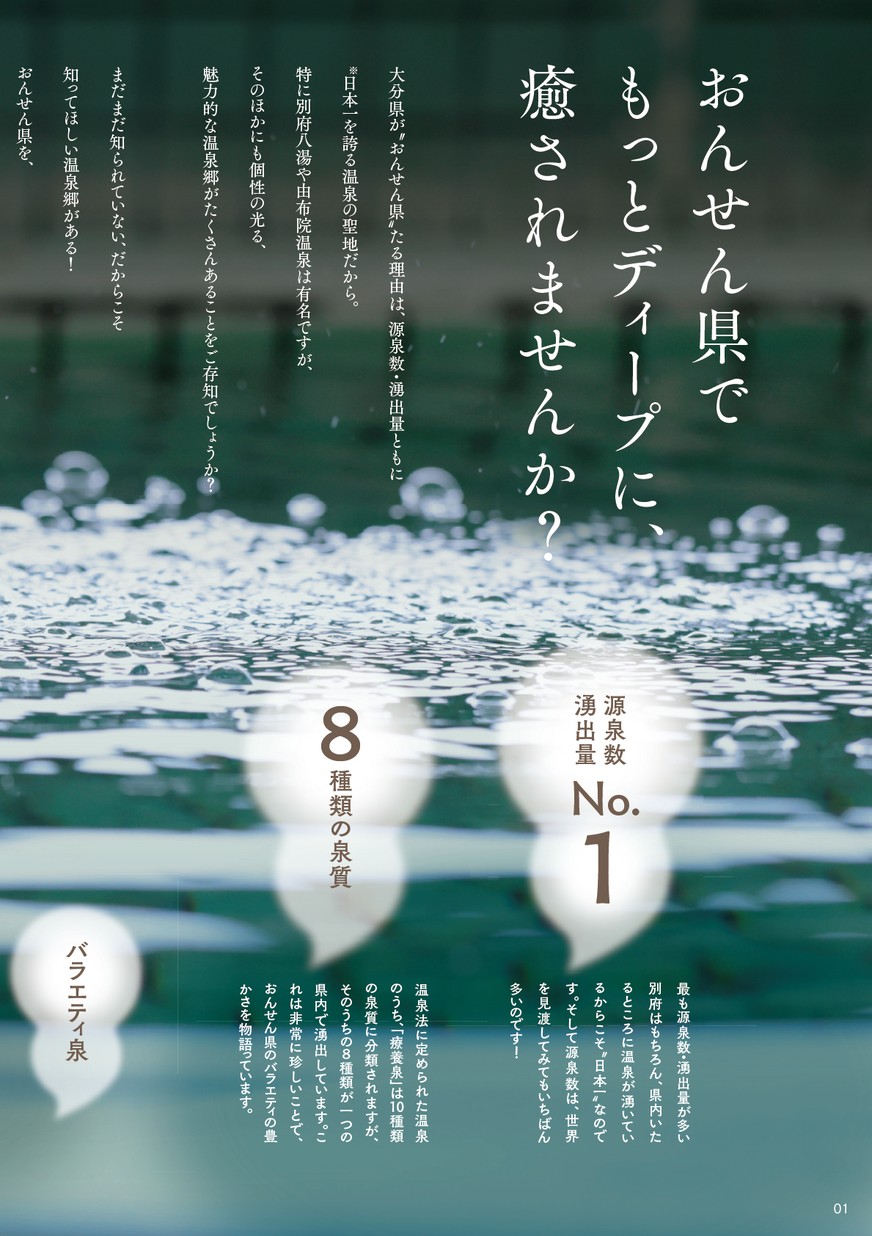 温泉ガイドブック おおいた湯めぐり
